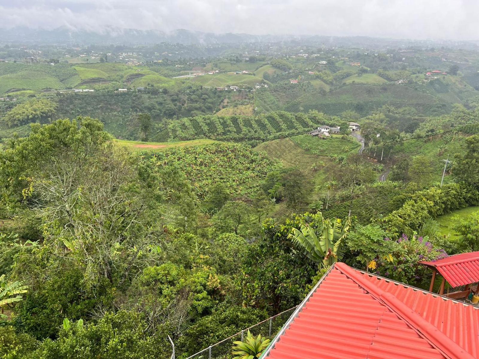 Eco Hotel La Selecta Pereira Bagian luar foto
